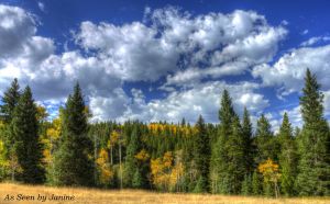 c78-3e-Fall Foliage along the Peak to Peak Scenic Byway Near Estes Park Colorado.jpg